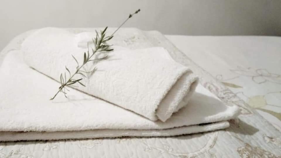 Aandrus Guesthouse Bloemfontein Zewnętrze zdjęcie