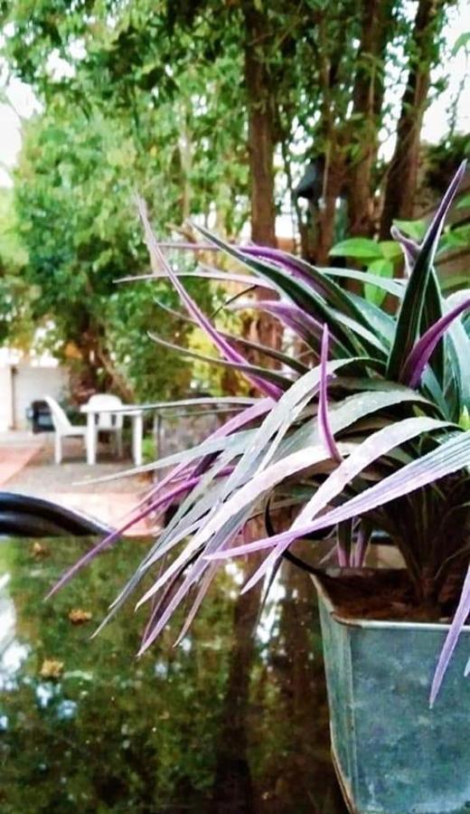 Aandrus Guesthouse Bloemfontein Zewnętrze zdjęcie